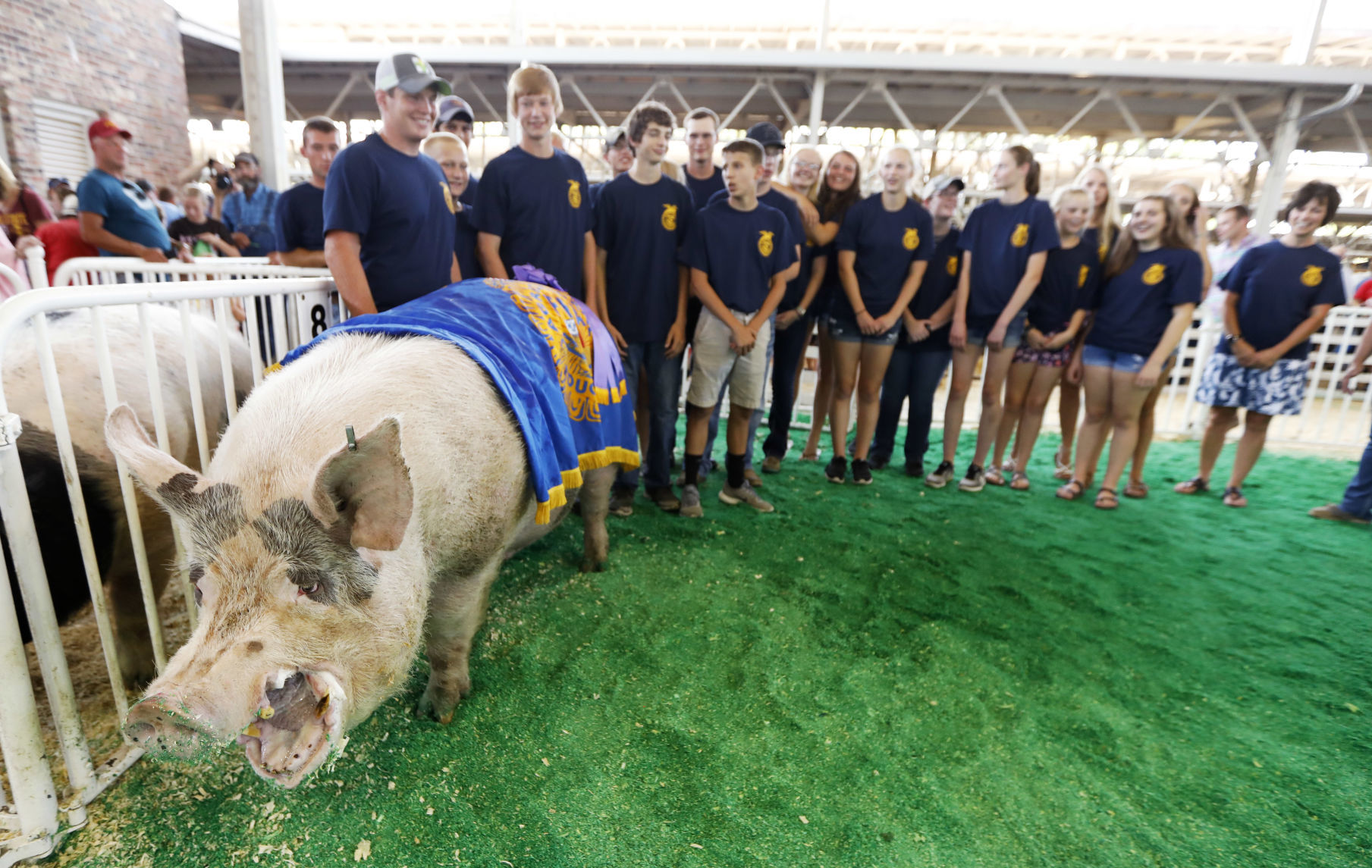 081018AP-Iowa-State-Fair-4